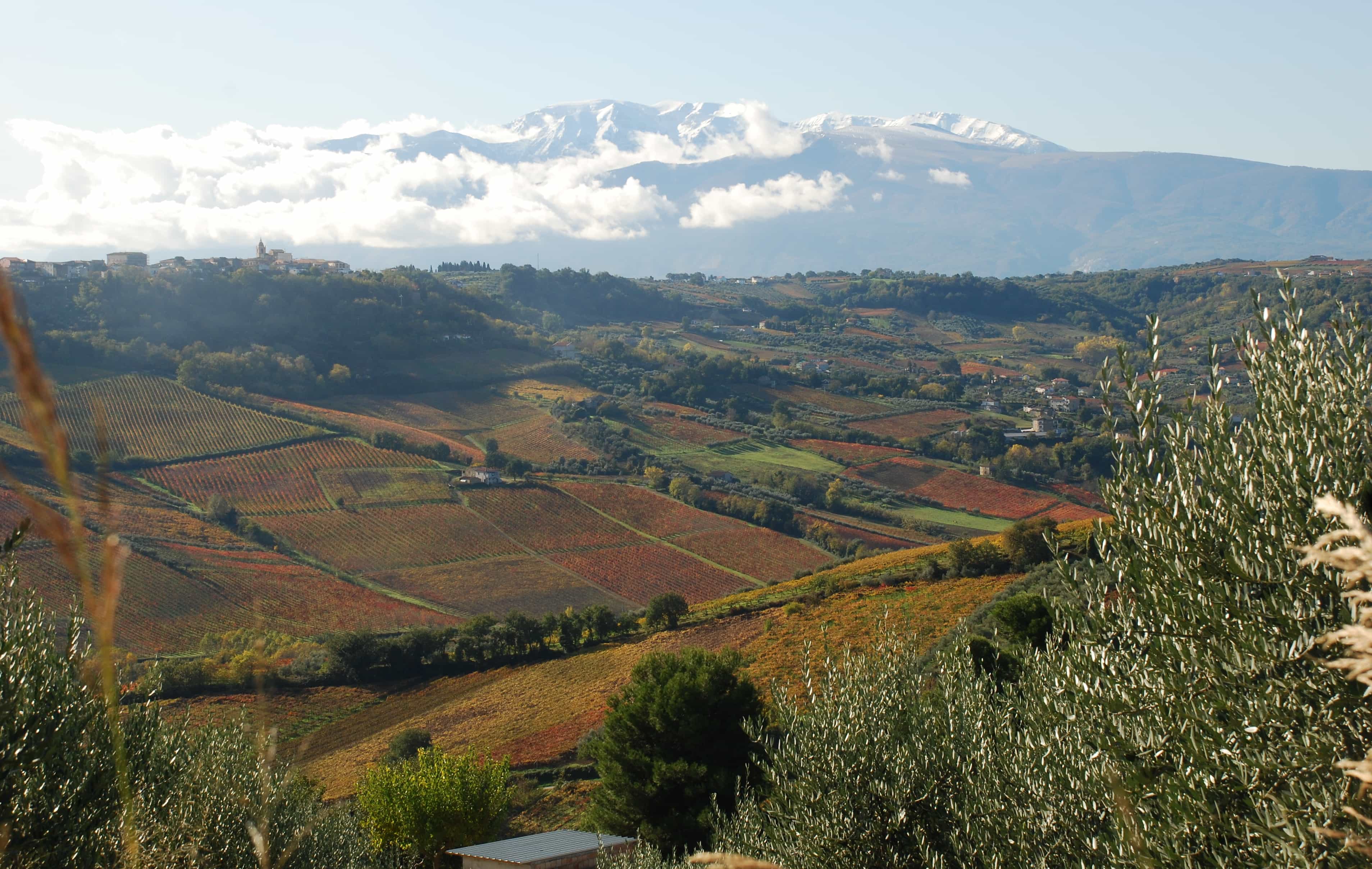 (3-days) Wine Escape in Villamagna: Private Stay, DOC Wine Tastings & Local Flavours
