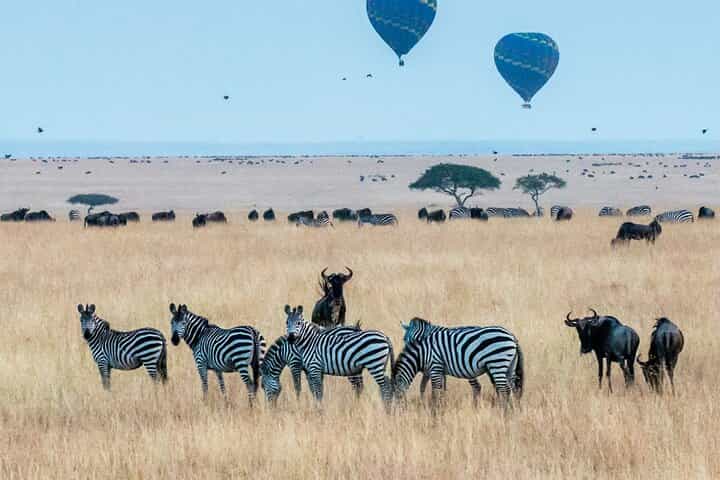 Luxury 5 Days - Manyara, Serengeti, Ngorongoro & Tarangire Safari