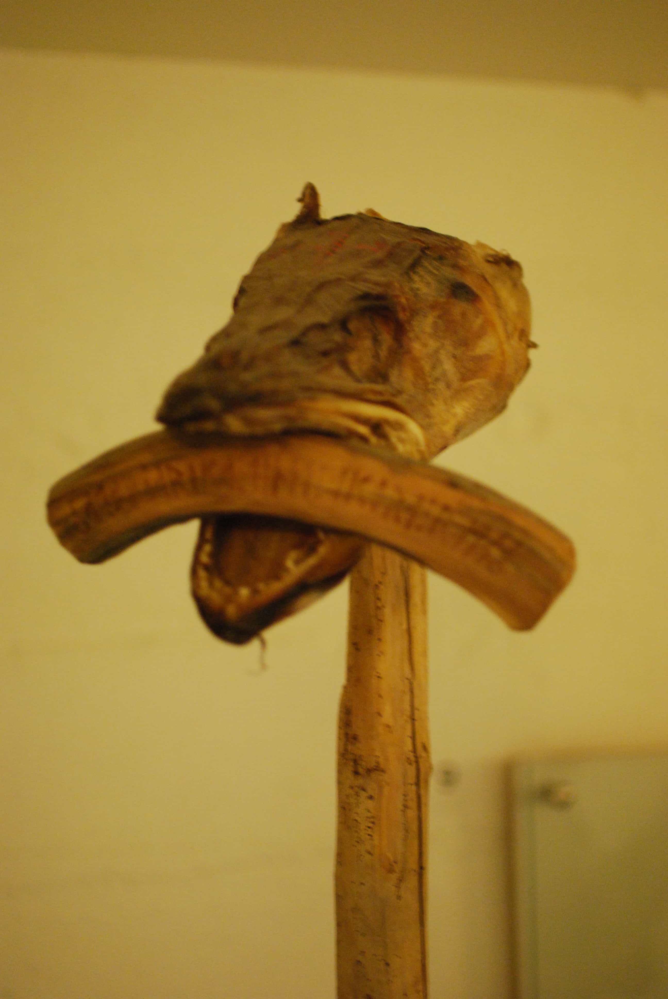 Witchcraft and Icelandic Magic