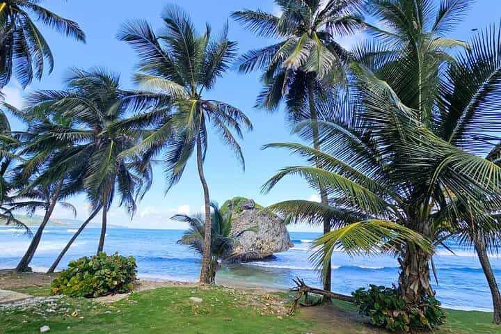 WTL - CUSTOMIZABLE ISLAND TOUR