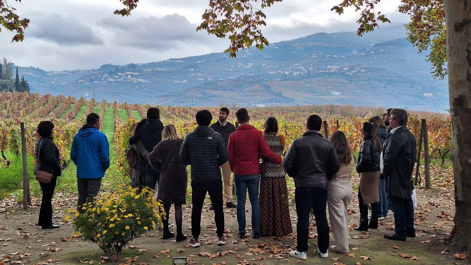 Private Douro Tour with Wine Tastings: Galafura, Pinhão and N222