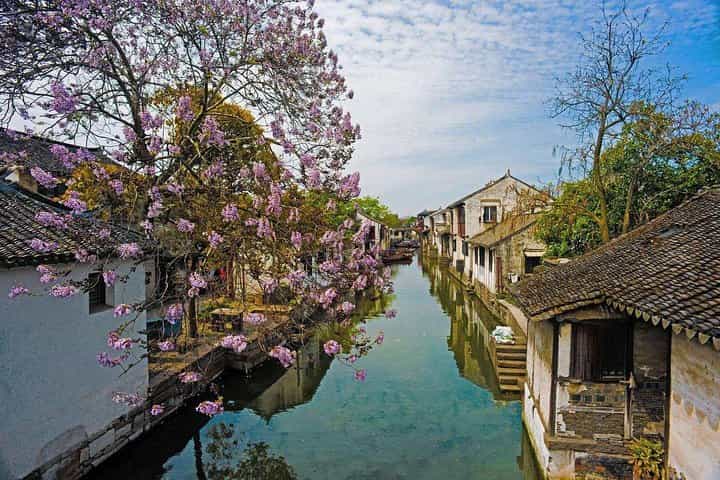 Shanghai: Zhouzhuang and Zhujiajiao Water Town  Private Spanish & English Tour 