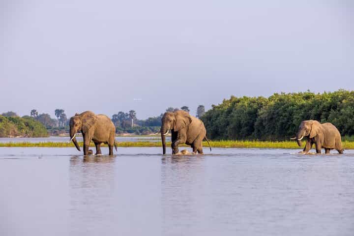3 Day Nyerere NP Safari Adventure from Zanzibar to Selous 