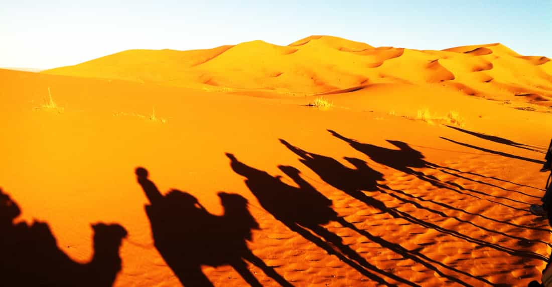 MARRAKECH TO SAHARA 8 DAYS