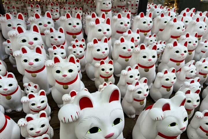 Tokyo: Gotokuji Culture Walk & Lucky Cat Temple Experience