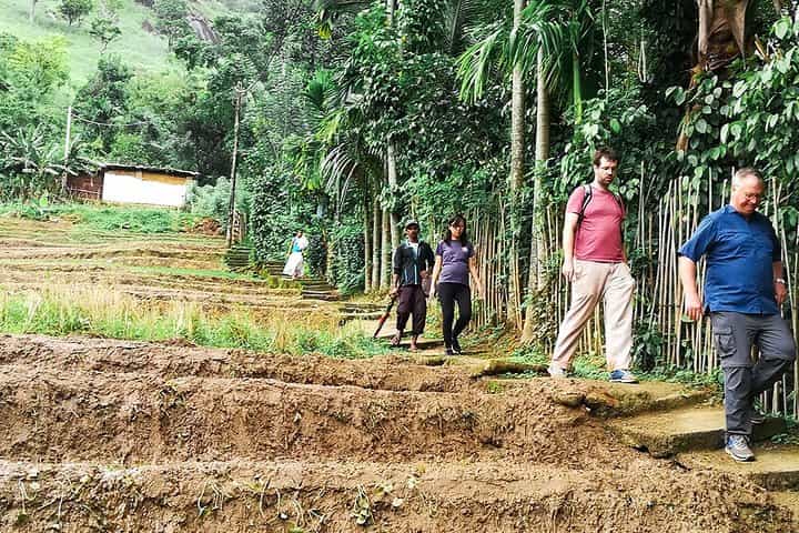 Kandy Village Walk with a Local 