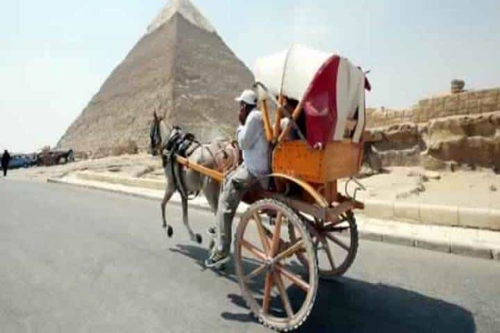 Giza Pyramids,The Egyptian Museum Cairo,Citadel , El Khan Bazaar 