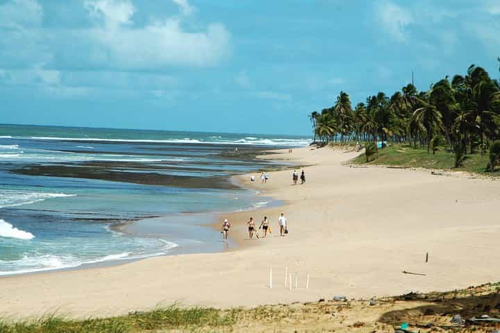 Praia Do Forte & Guarajuba Beach Day Trip