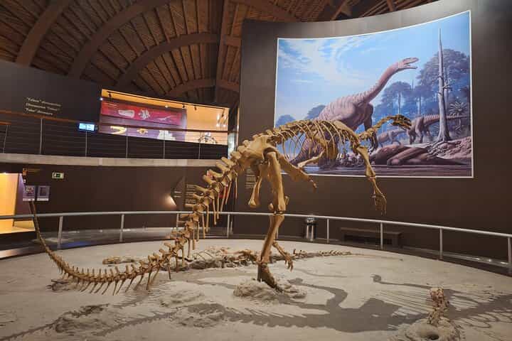 Jurassic Museum of Asturias Tour from Oviedo