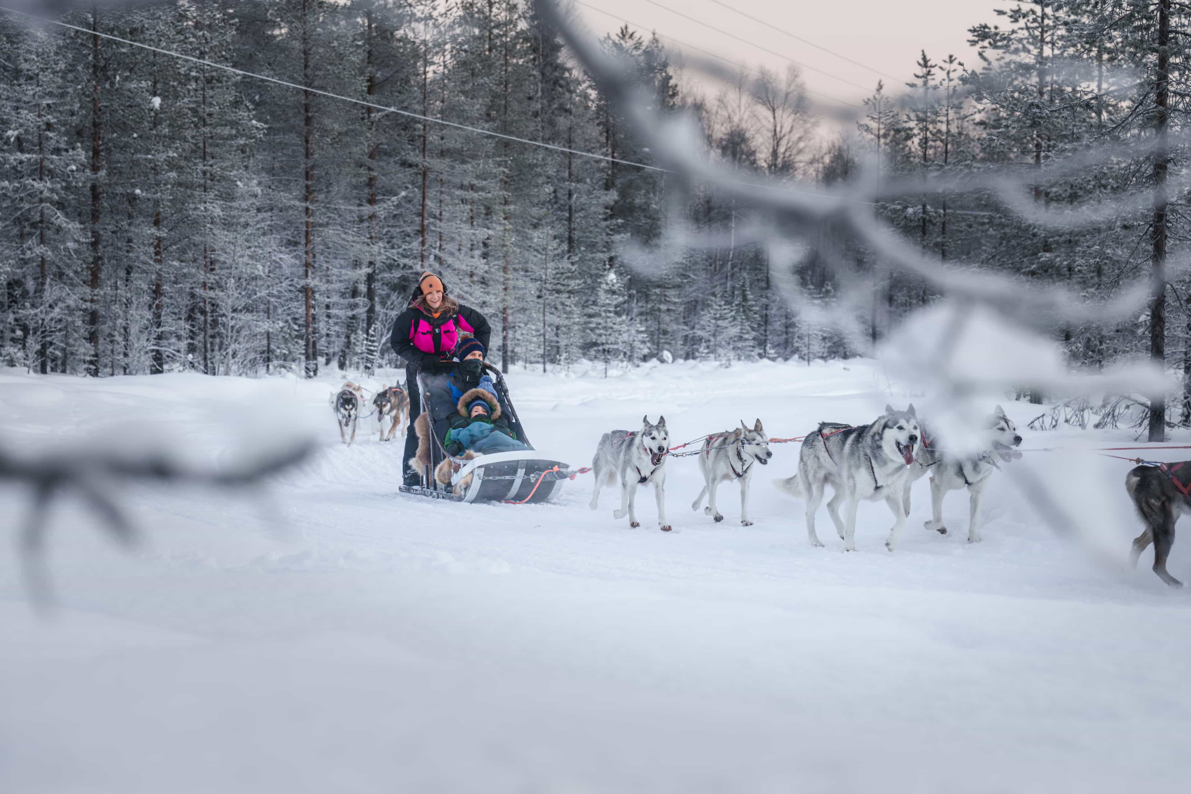 10KM HUSKY SLED SAFARI DRIVING YOUR OWN SLED (60MIN)