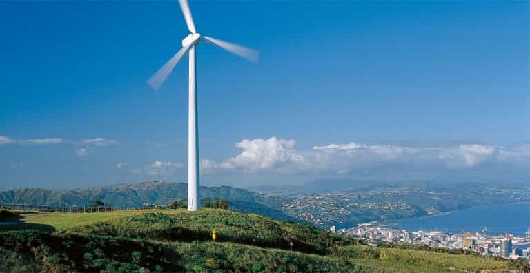 From Cave to coast highlights tour of Wellington 