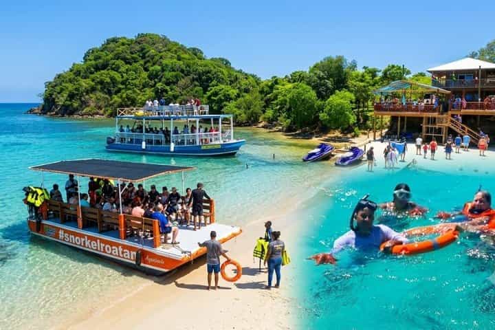 Catamaran snorkeling and Wildlife sanctuary 