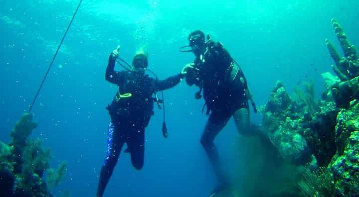 2 Tank Roatan Fun Dive, Boat Sightseeing Tour, including ground transportation