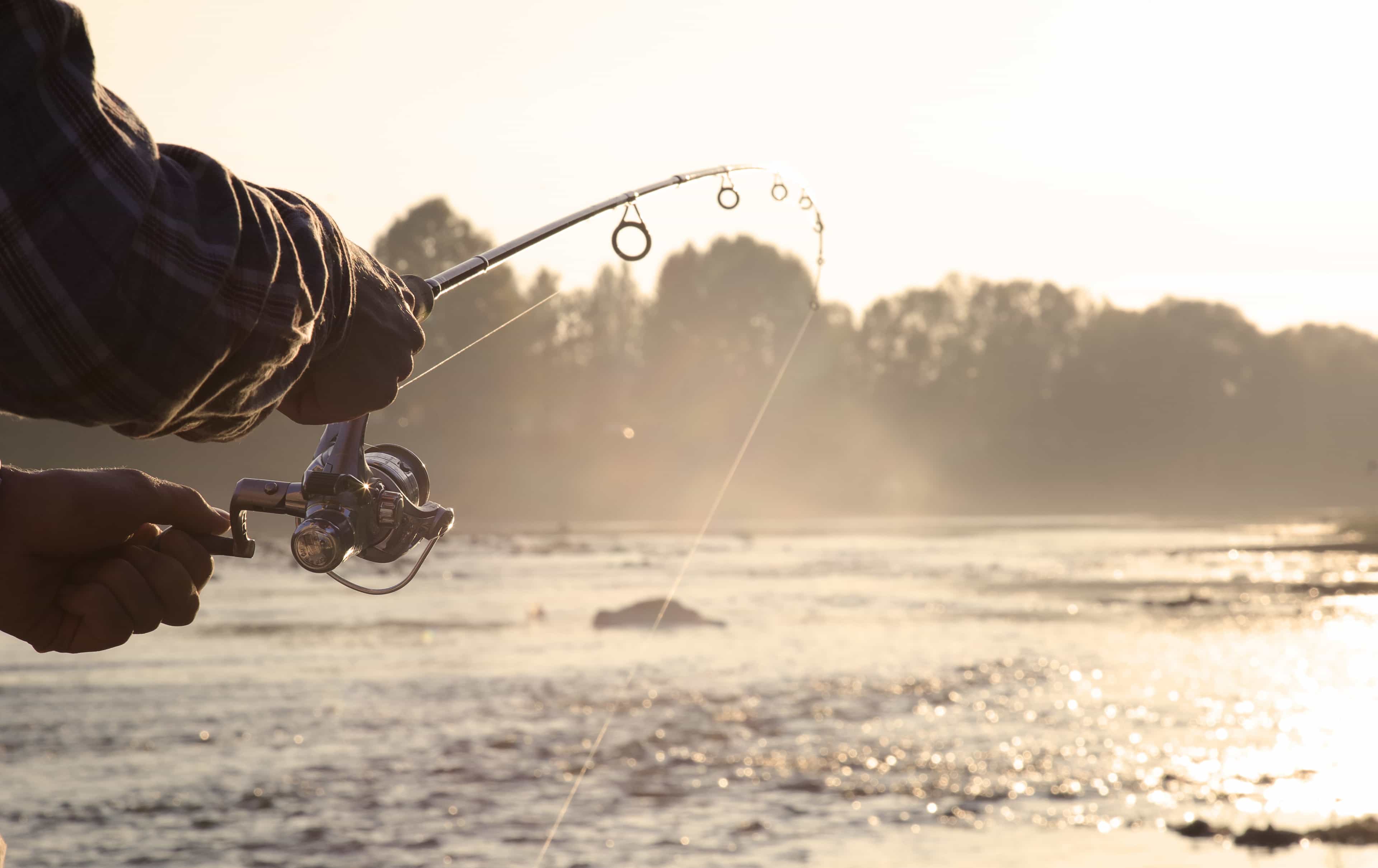 Rovaniemi: Summer & Autumn Fishing Tour in Arctic Nature & Barbeque - Small Group