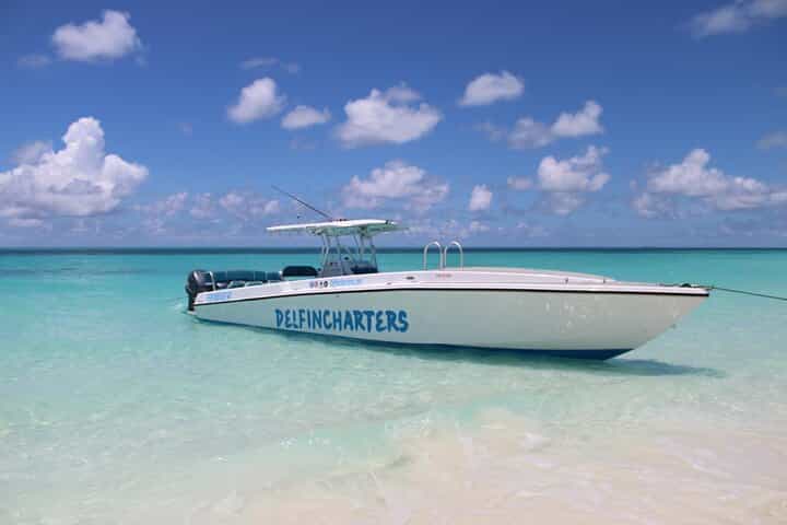 Private Boat Swim and Snorkel Adventure to Rose Island