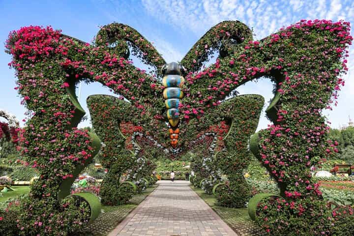 Dubai Butterfly Garden Tickets with Private Transfers