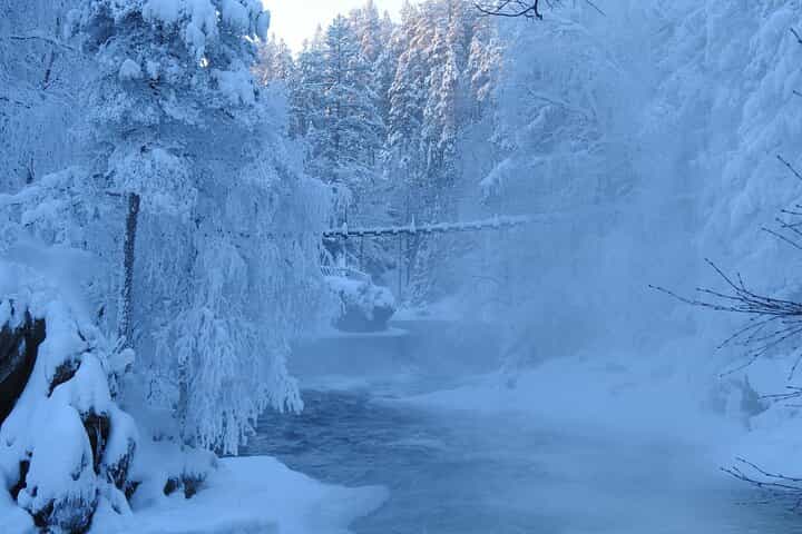 Oulanka National Park Private Winter Walk