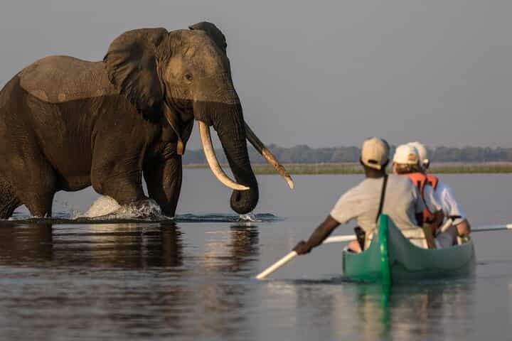 Private Canoeing, Cycling, Coffee and Hiking Tour in lake Duluti.