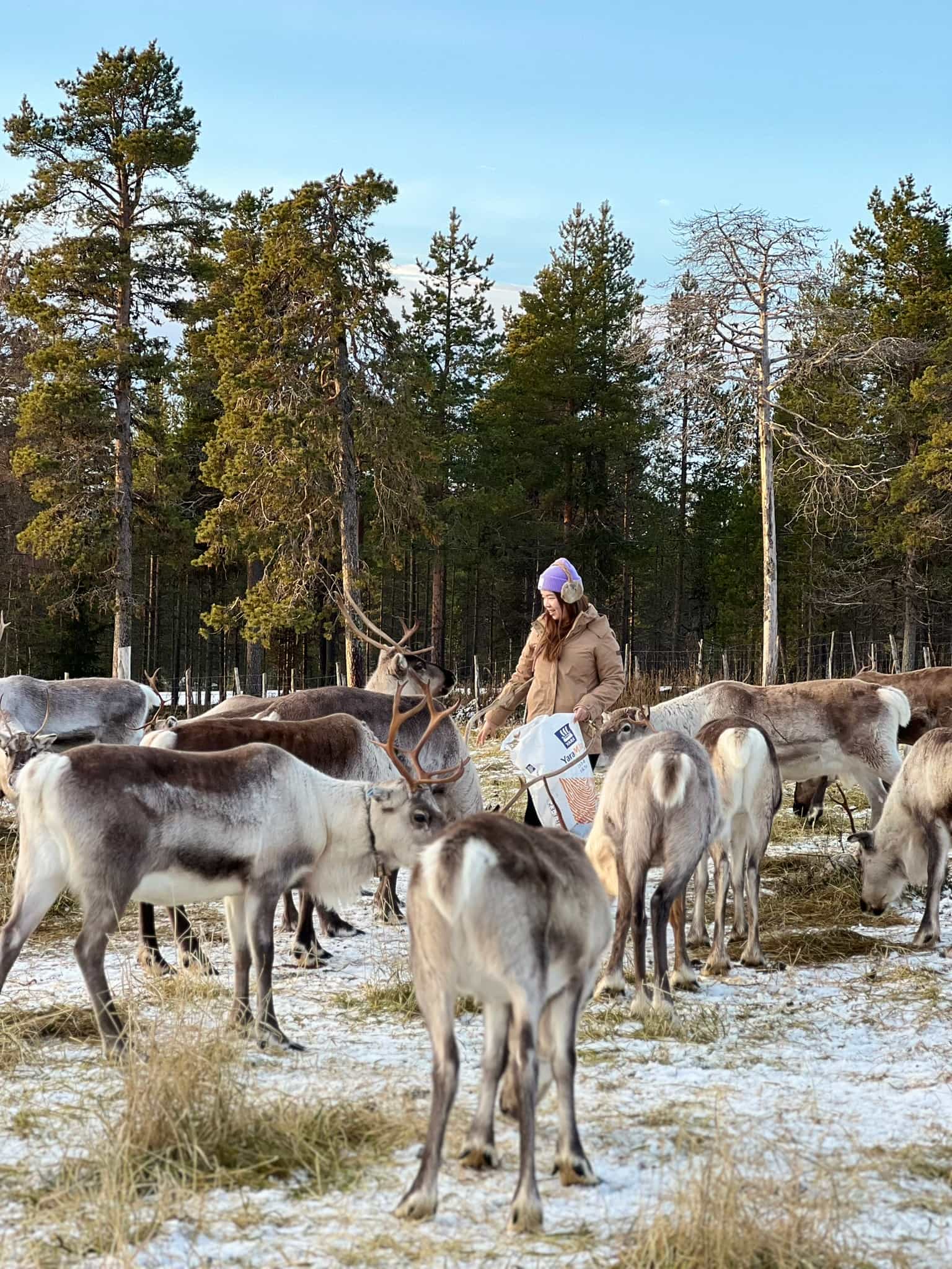 Levi Wilderness Twilight Adventure
