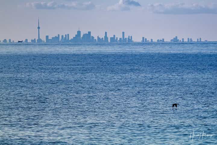 Private ONE-Way Transfer Niagara-on-the-Lake to Toronto Airport 
