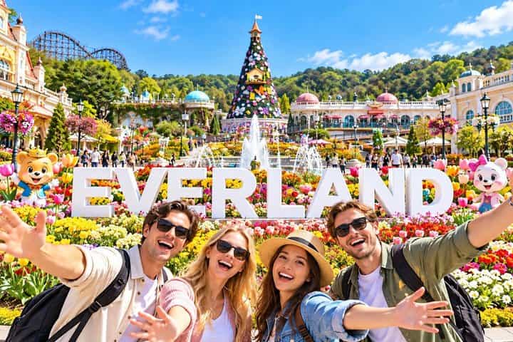Private Everland Theme Park Tour