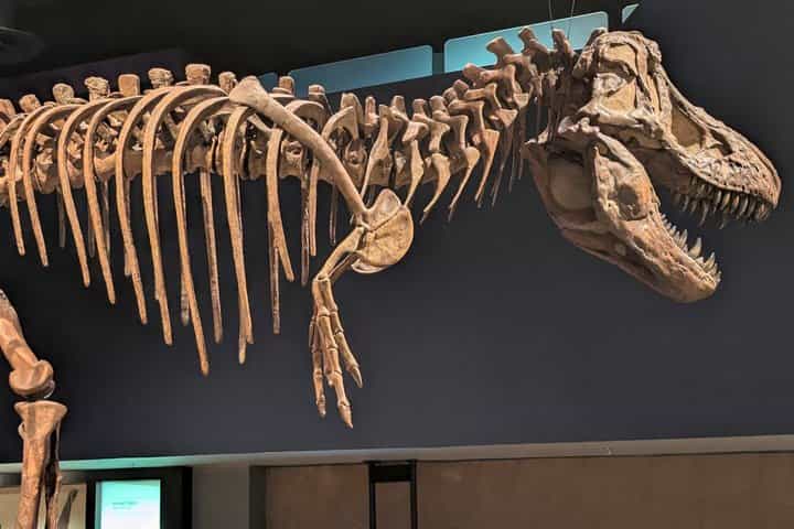 Badlands Small Group Guided Tour: Calgary to Drumheller Dinosaurs
