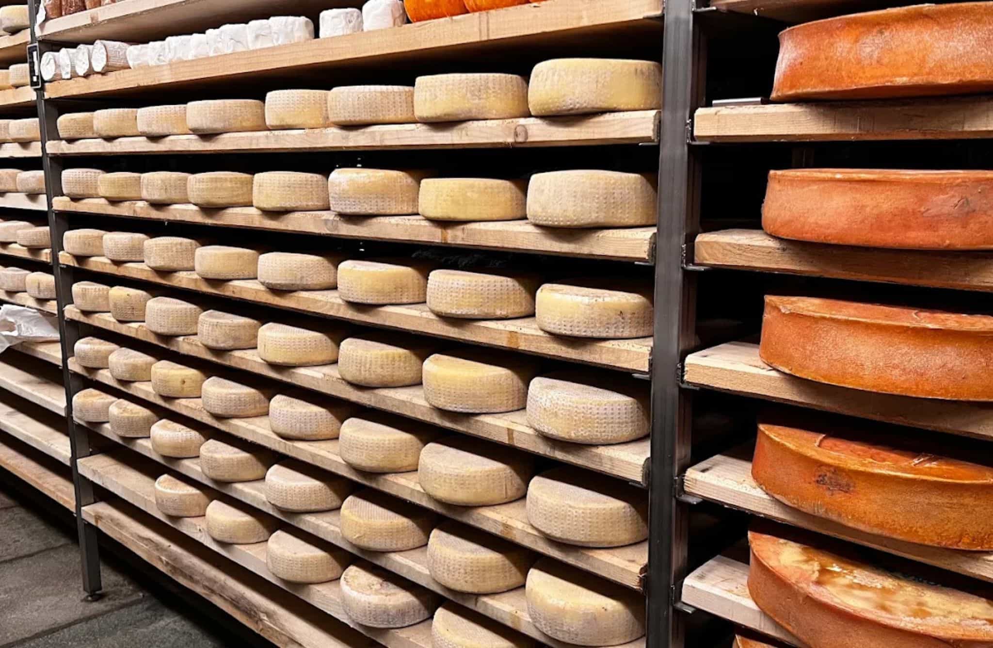 Traditional Cheese Dairy Tour with Tasting near Aosta