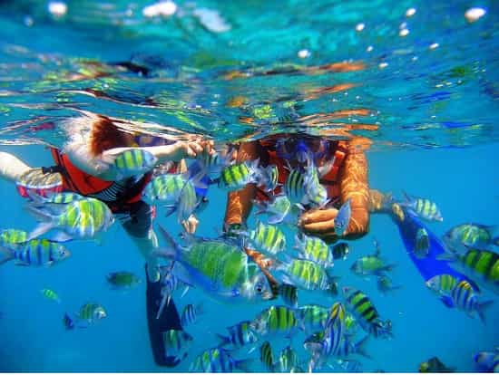 Nalusuan Island Hopping