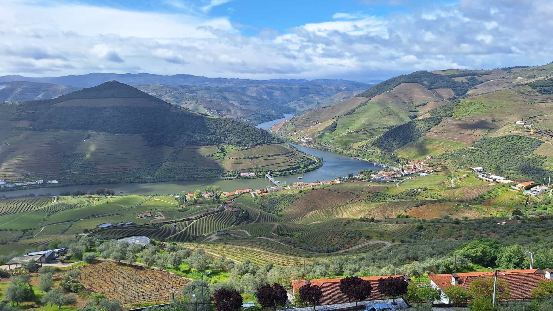 Private Douro Tour with Wine Tastings: Galafura, Pinhão and N222