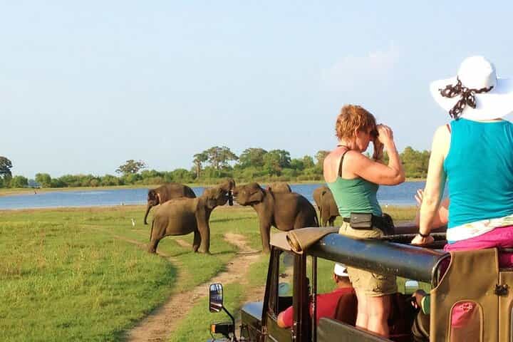 8-Day Private Wildlife Viewing and Chimpanzees Tracking Safari