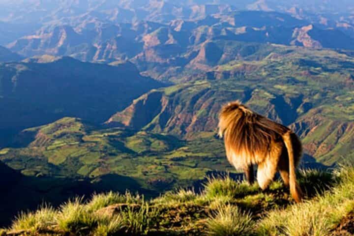 Debre Libanos and Portuguese bridge 