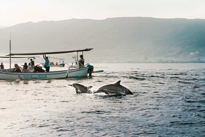 Lovina Dolphin Swim & Snorkel Sunrise with Scenic Viewpoints 