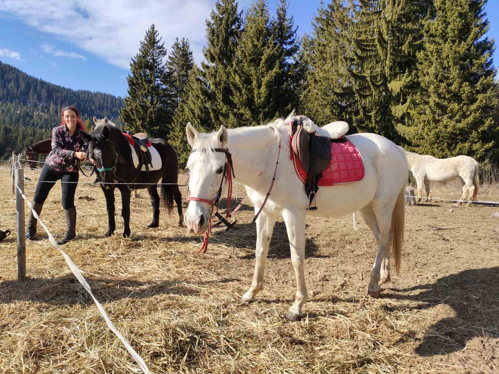 Horse Riding Lessons at the Heart of the Rose Valley