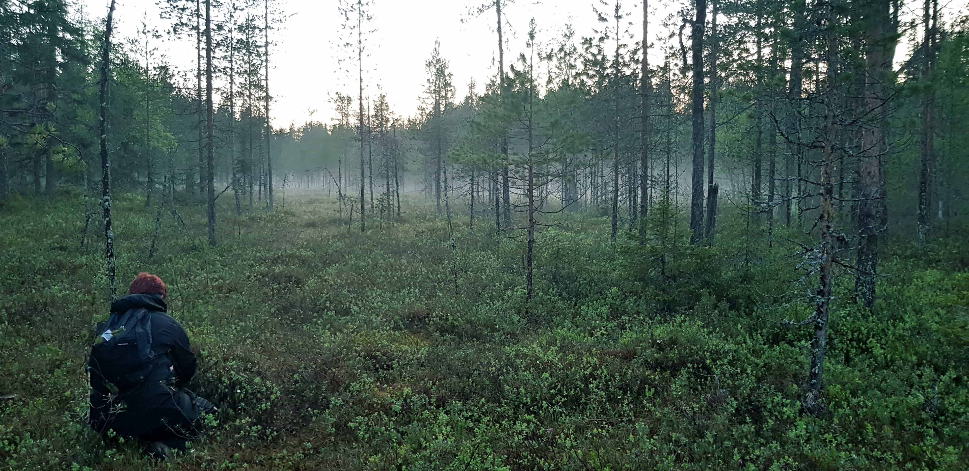 Day hike in Salla National Park