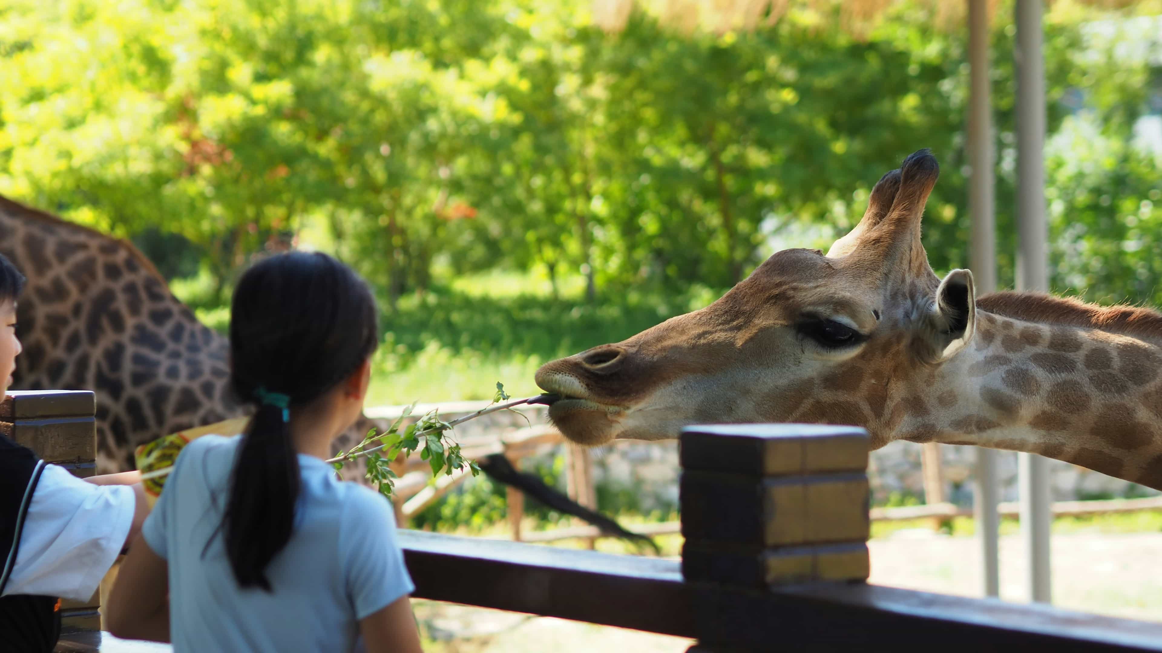 Private Family Tour: Pistoia Zoo & Pisa Leaning Tower
