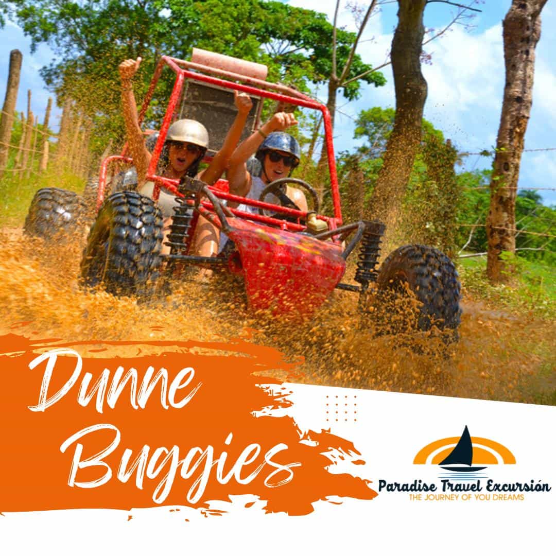 Dunne Buggies & ATV