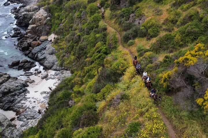 Papudo Tour with Penguins and Horseback Ride 