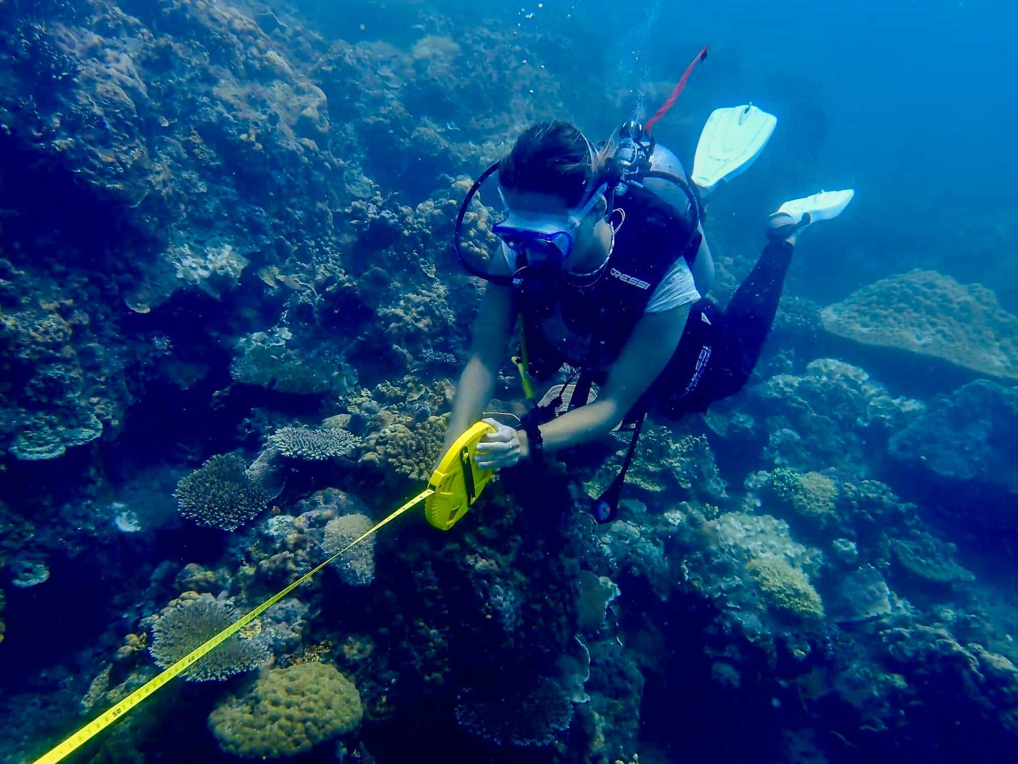 FinVentory — Reading the Reef Through Fish