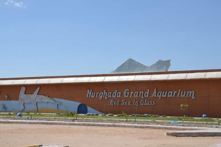 Hurghada Grand Aquarium Discovery Tour with Tickets & Transfers