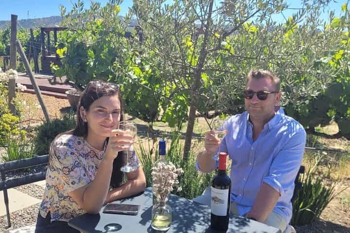 Wine and Santiago City Tour in a Small Group