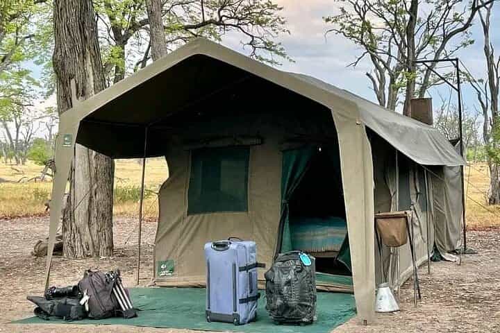 2-Day Wilderness Adventure: Overnight Camping in Chobe Park