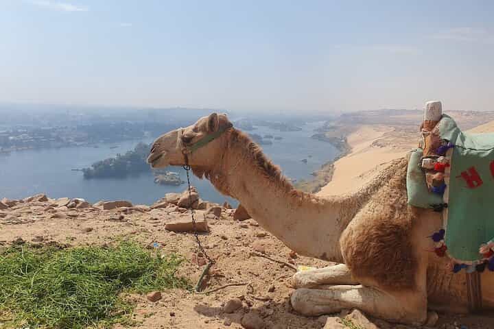 Abu Simbel to Qubbet El Hawa Temples and Noble Tombs Tour