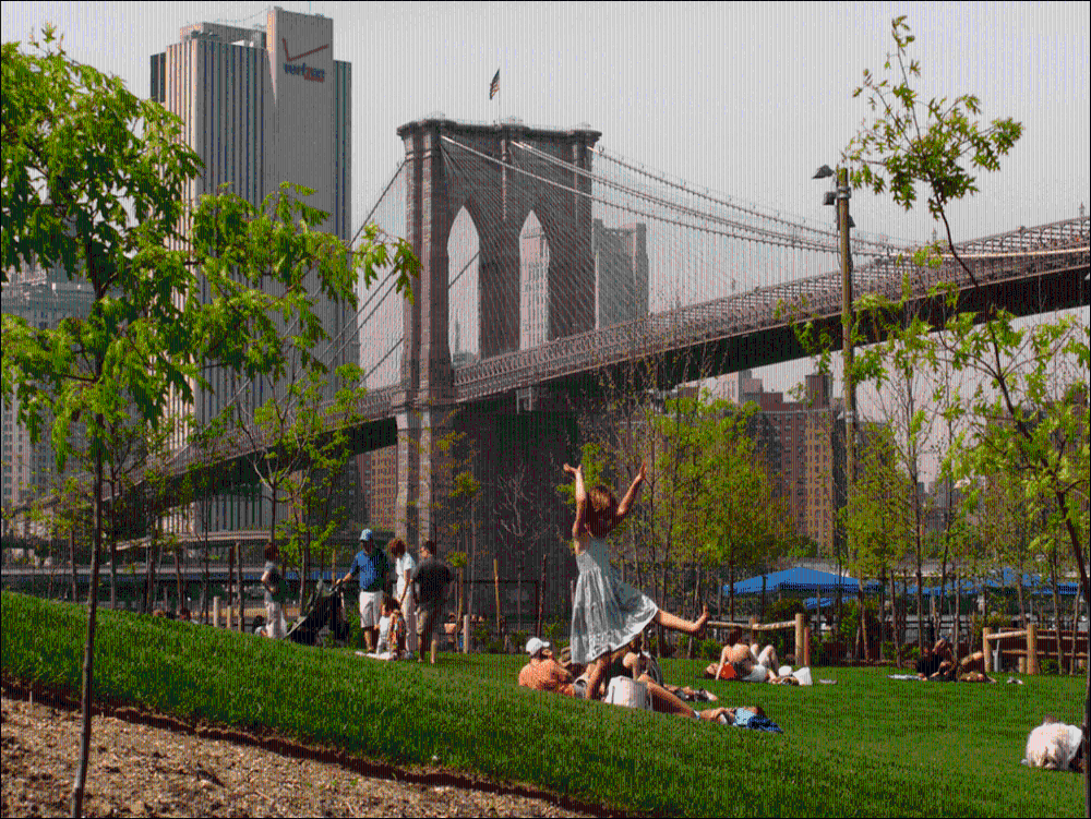Brooklyn Heights/DUMBO/Manhattan Skyline - Private Walking Tour