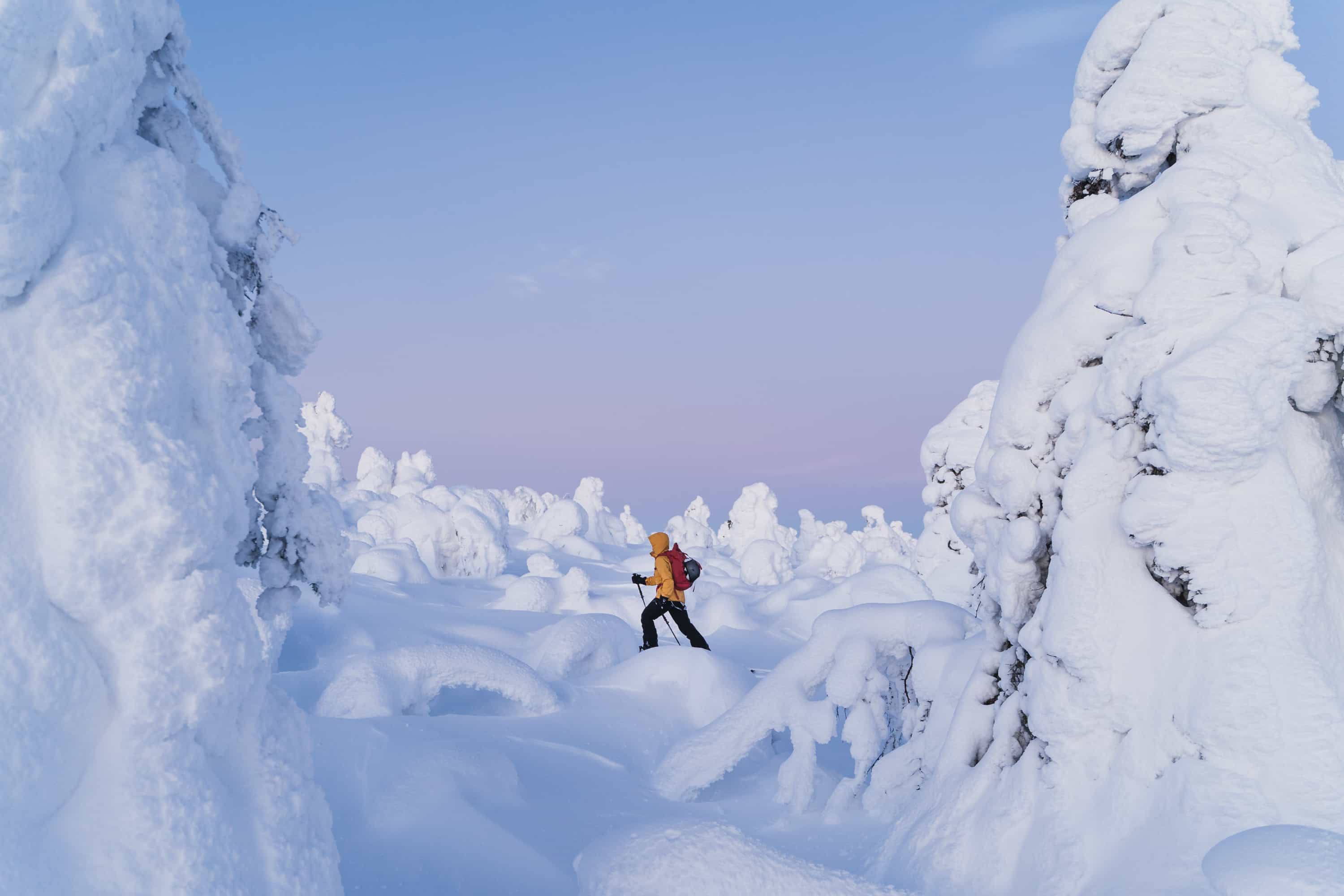 Private - Snowshoeing Adventure In Levi (2h)