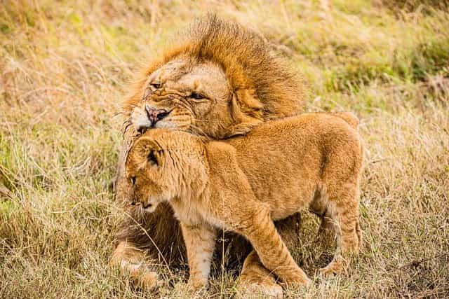 3 Days Mara in Style — A Private Luxury Escape