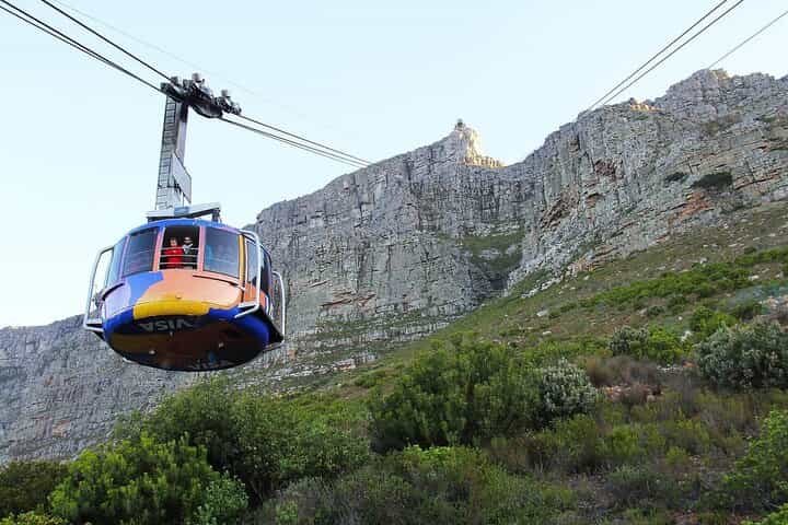 Table Mountain National Park and Penguins Colony Half Day Tour