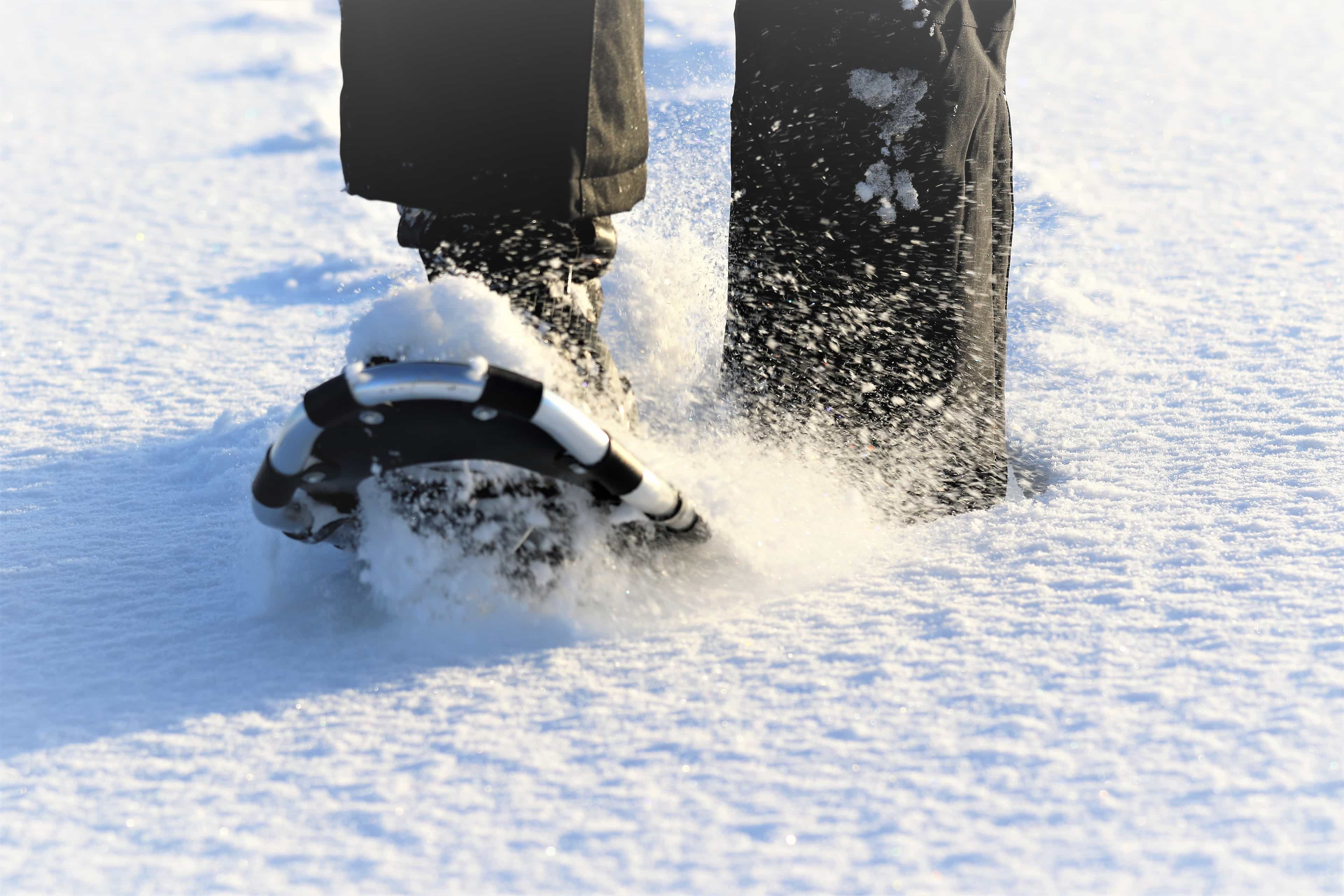 White Dream Adventure (Small-Group)