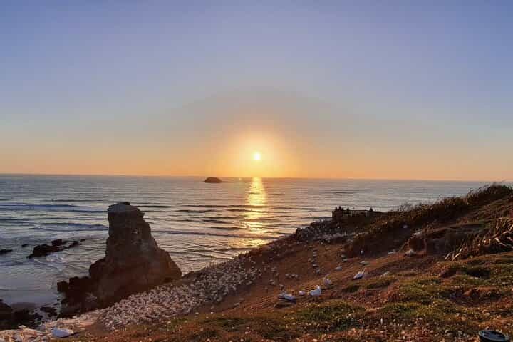 Romantic Auckland Sunset tour with Winery & Thermal pool