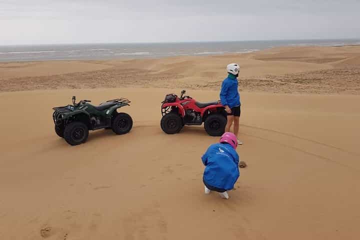Essaouira P14: Quad and camel ride