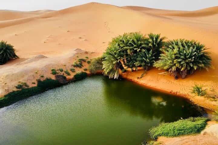 Discover Riyadh: Desert & Heritage with Camel Ride